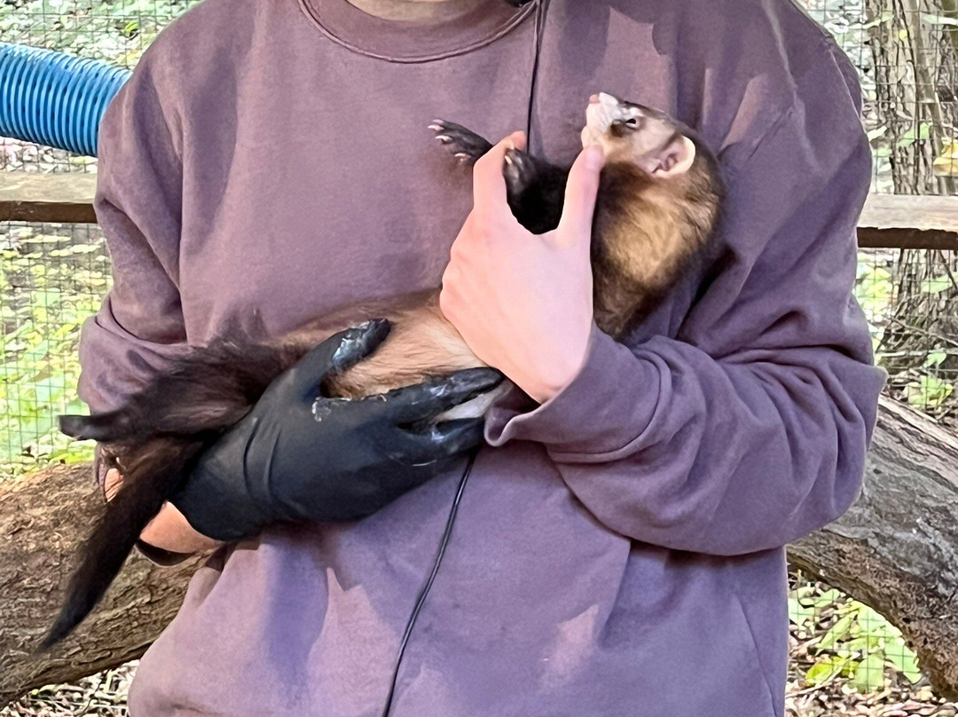 Otter-Zentrum Hankensbüttel-Hankensbuettel必去景点