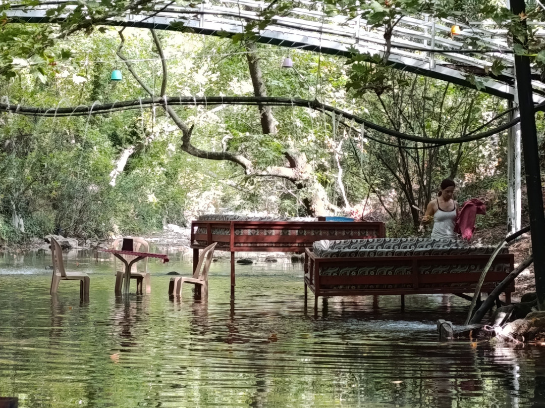 Yoruk Park Cirali主图