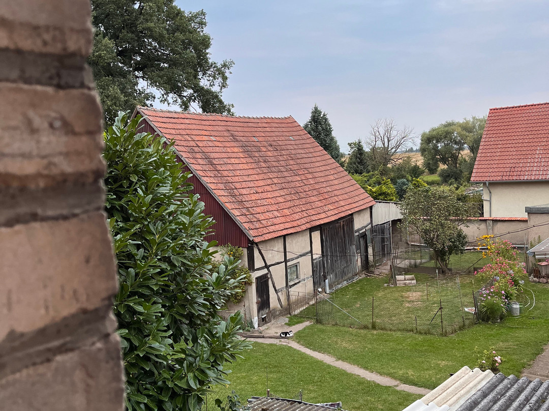 Pension Kunsthof Dahrenstedt主图