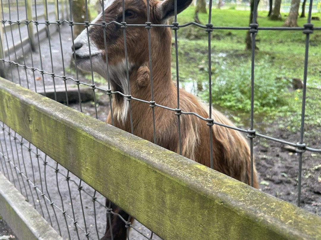 Turoe Pet Farm & Leisure Park-null必去景点