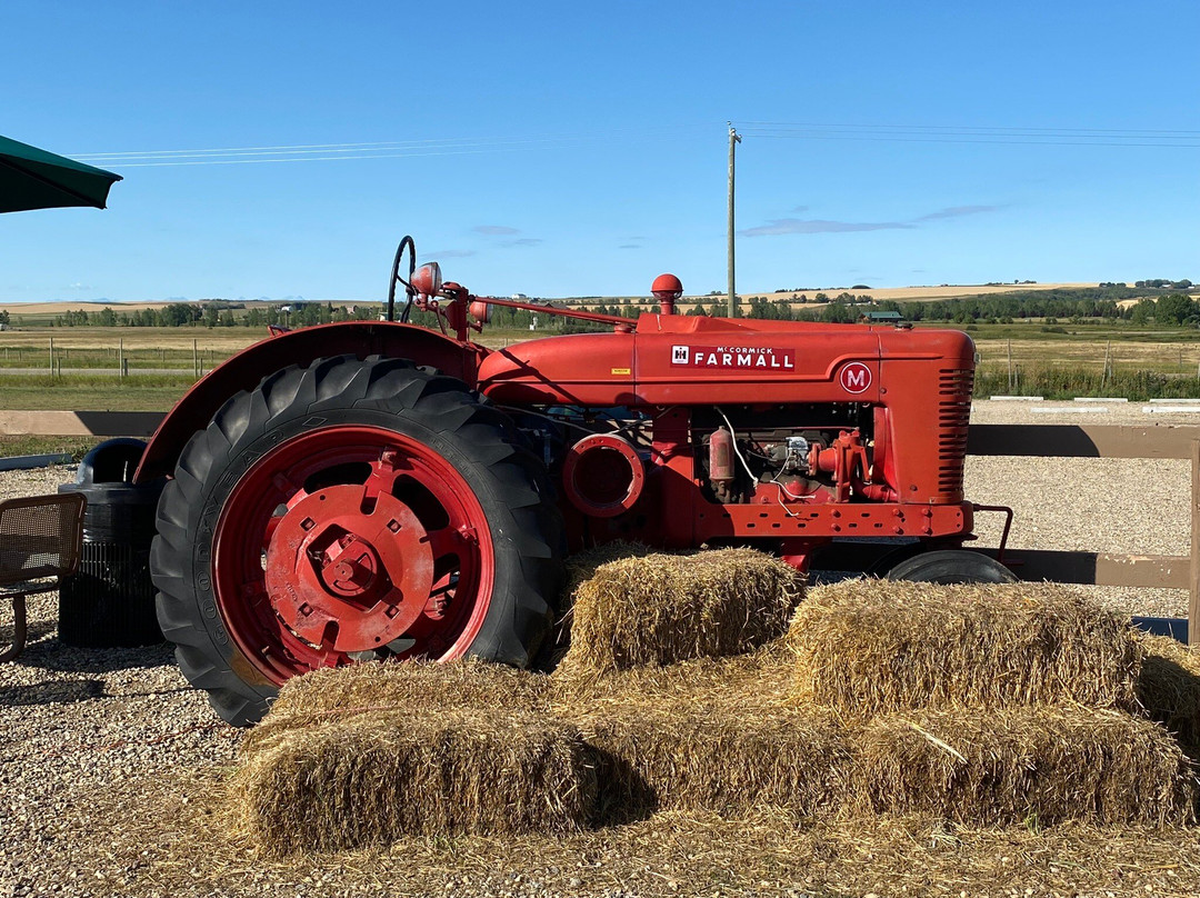 Souto Farms Local Market-艾迪尔必去景点