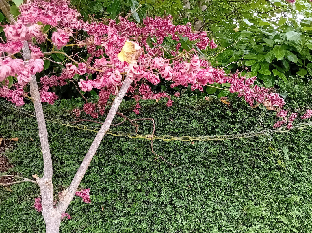National Garden Exhibition Centre-Kilquade必去景点