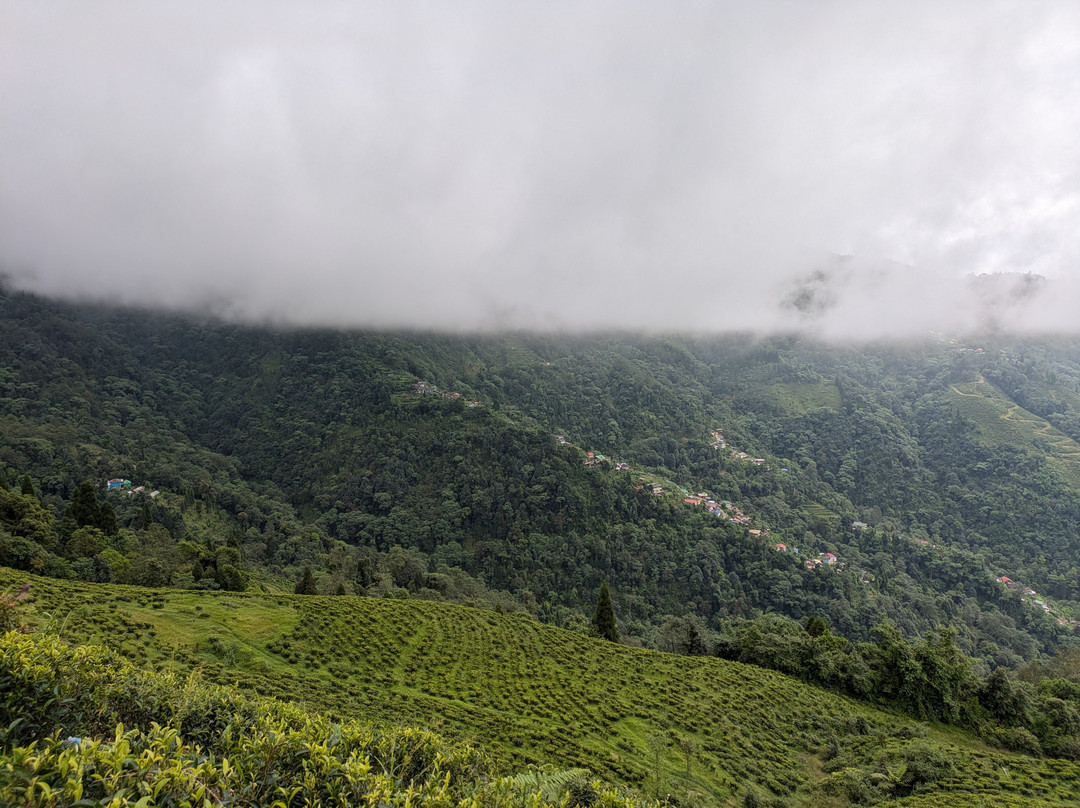 Boho Homestay, Rangbhang主图