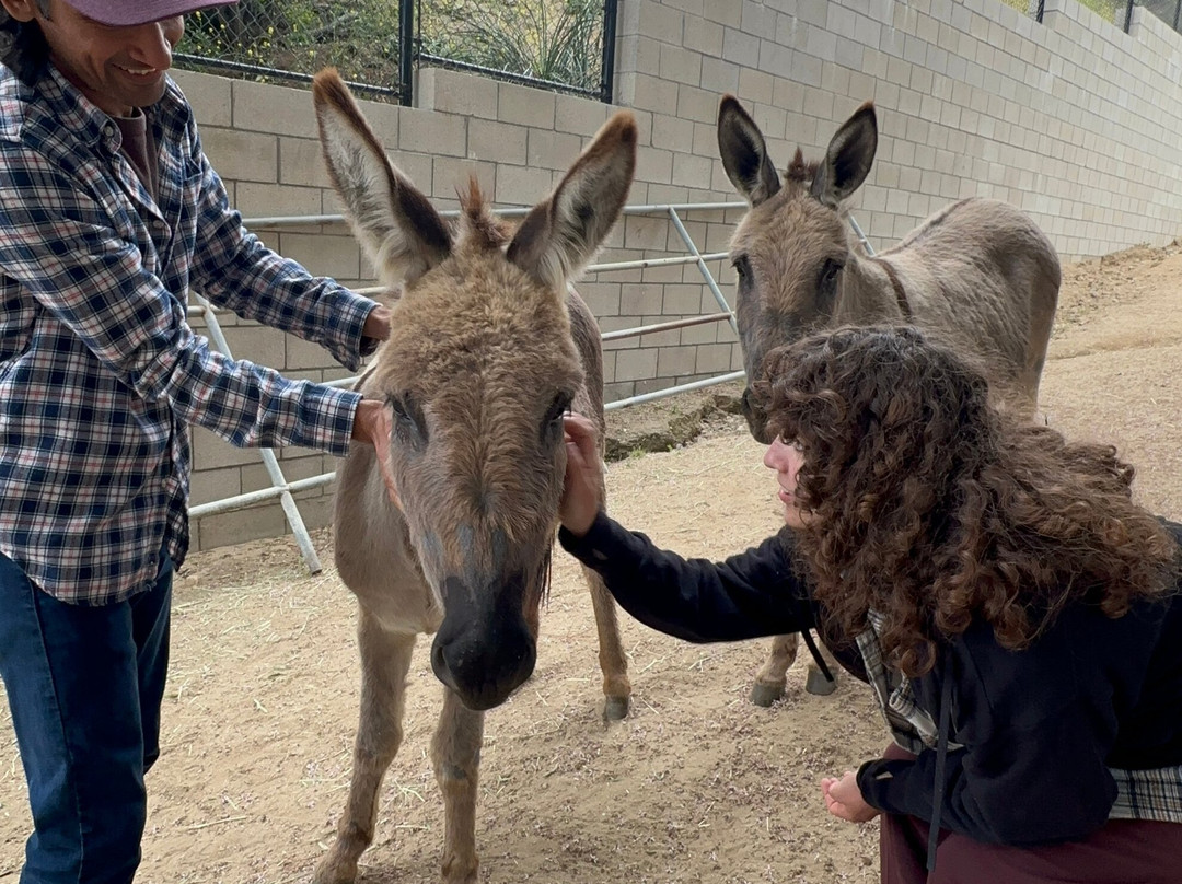 Love Always Sanctuary