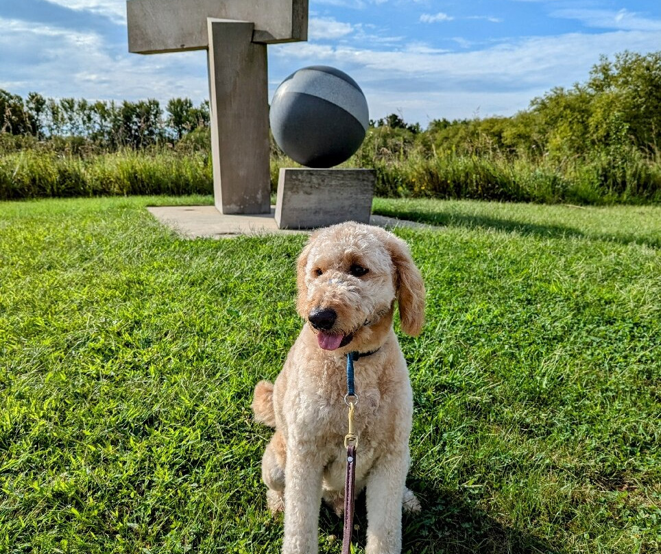 Meadowbrook Park-厄巴纳必去景点