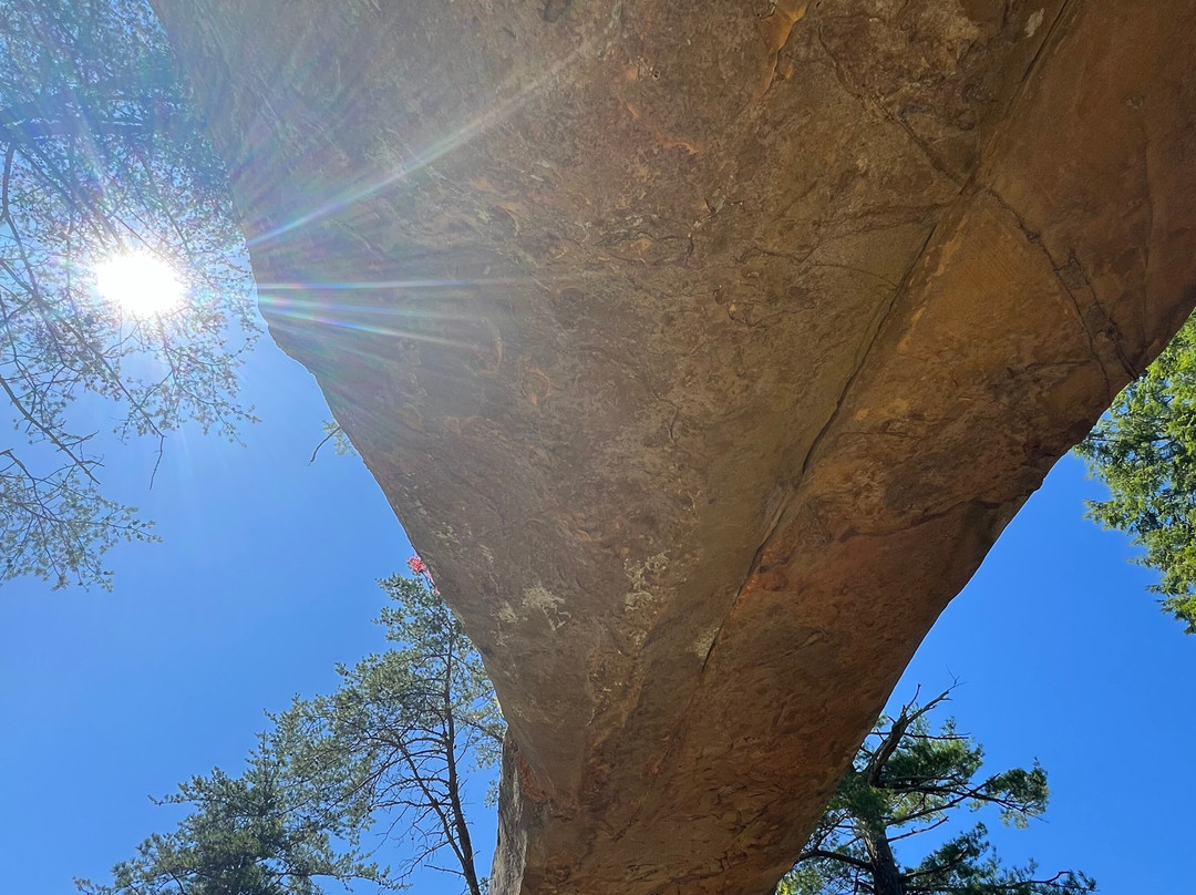 Sky Bridge Trail-Slade必去景点