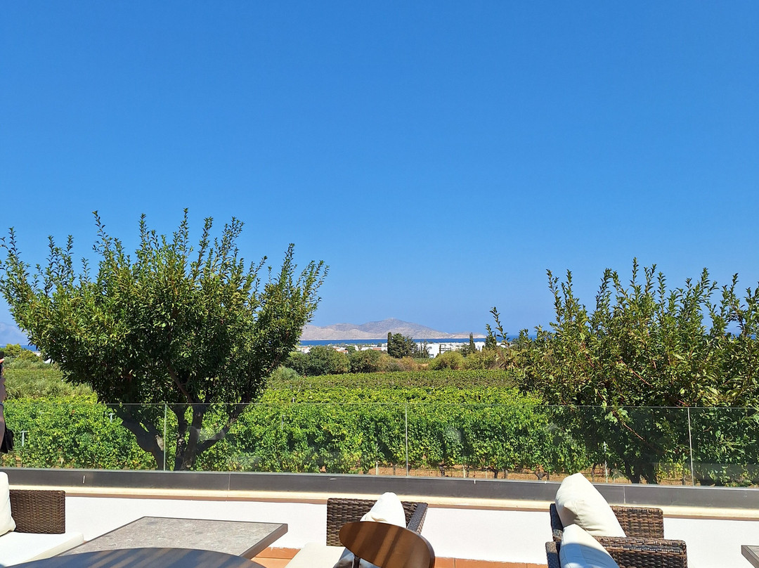 KTIMA AKRANI (Triantafyllopoulos Winery)-Kos Town必去景点