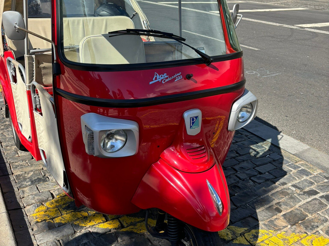 Tuk Madeira City Tours-沙尔必去景点