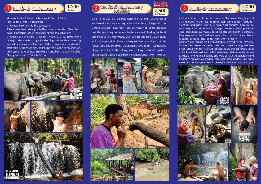 Chiangmai Elephant Sanctuary-清迈必去景点