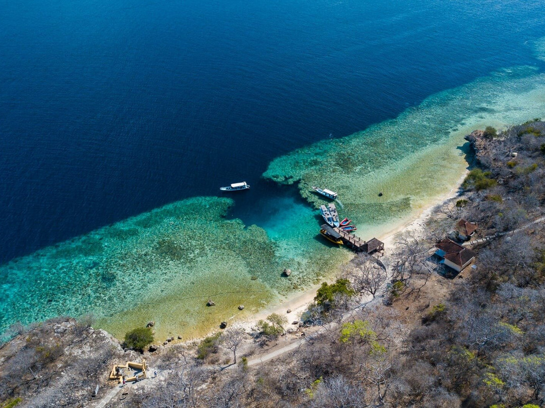 Menjangan Snorkeling景点图片