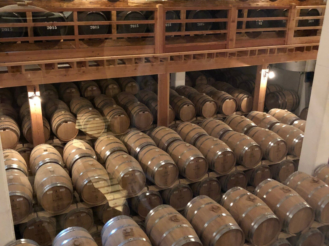 Distilleria Marzadro景点图片