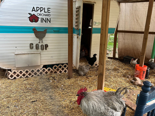 Apple Orchard Inn主图