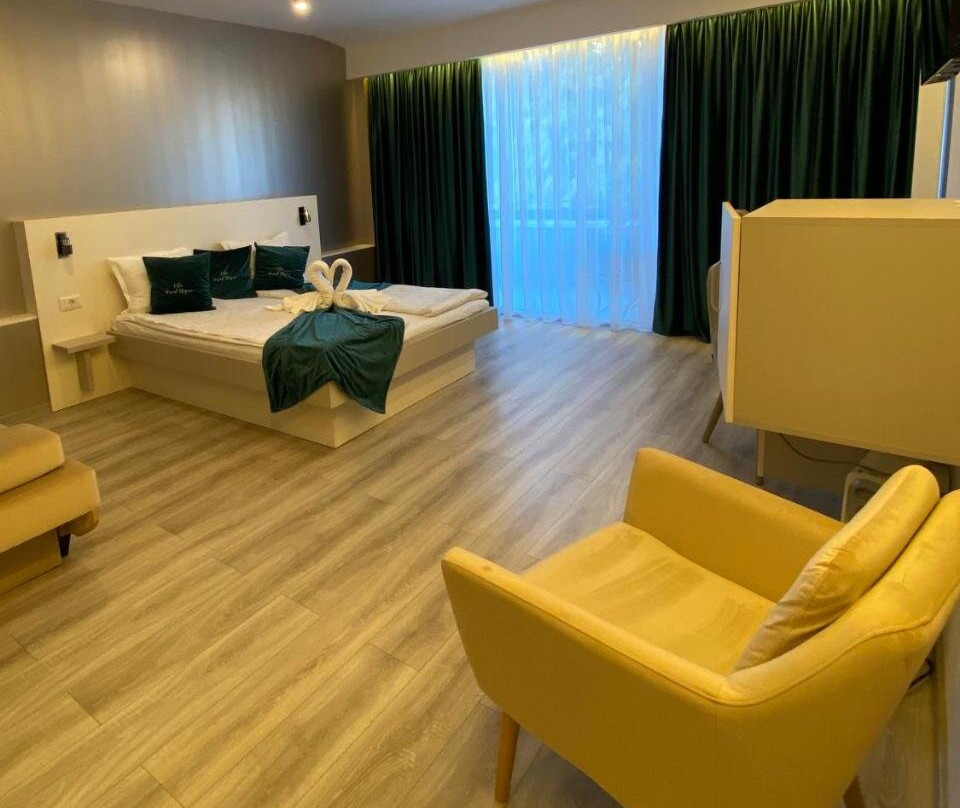 Vila Ursul Negru主图