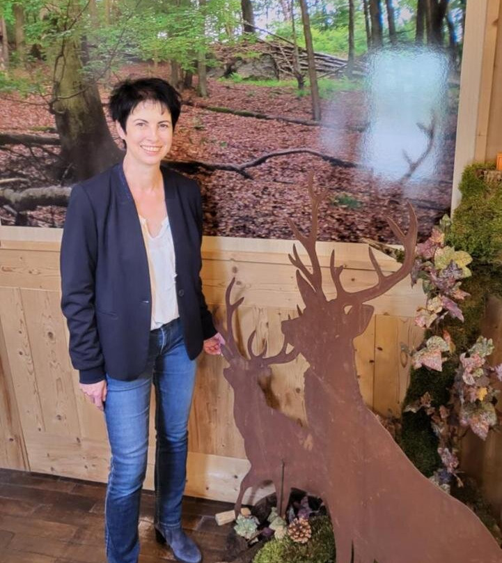 Pension Zum alten Rathaus主图