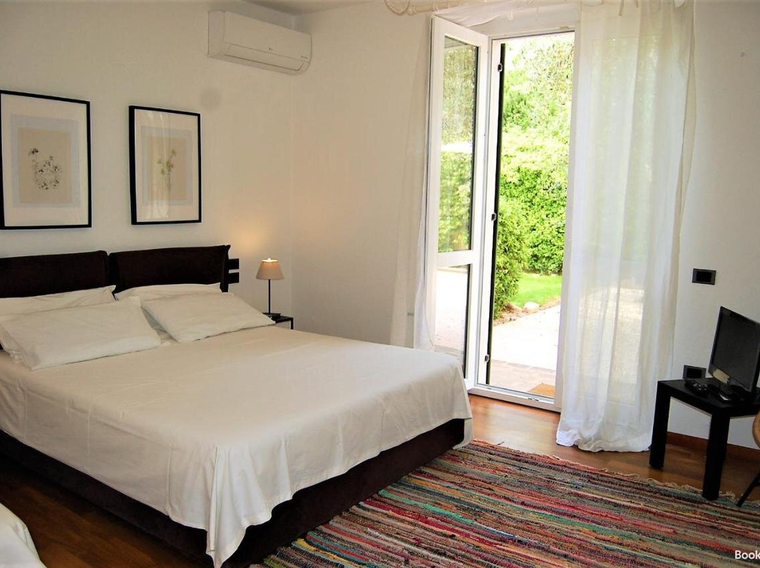 Green Corner Ulivo主图