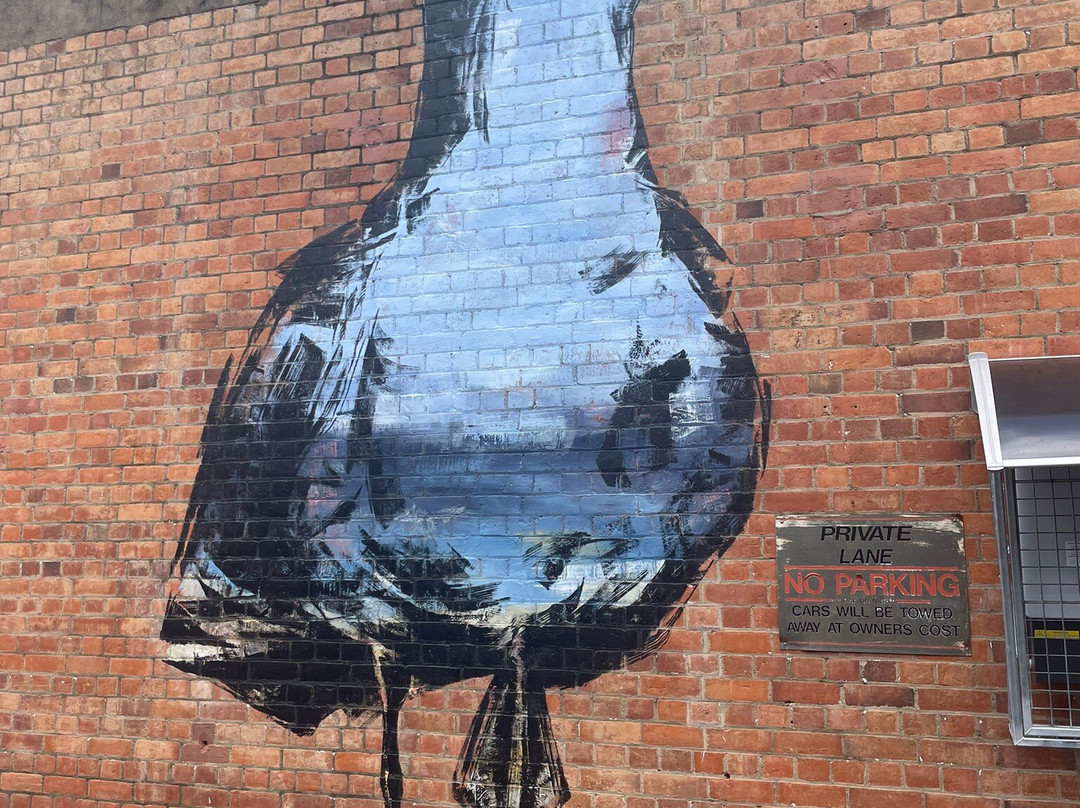 Street Art CBD Walking Trails-汤斯维尔必去景点