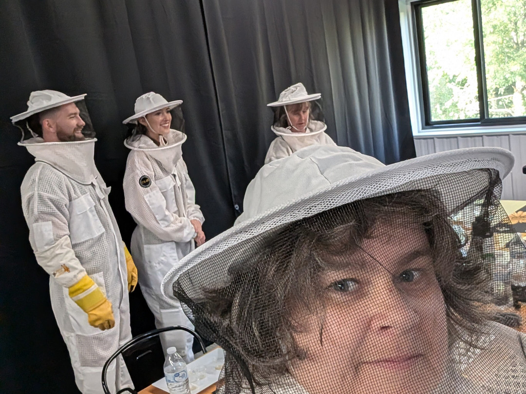 Dry Creek Beekeeping景点图片