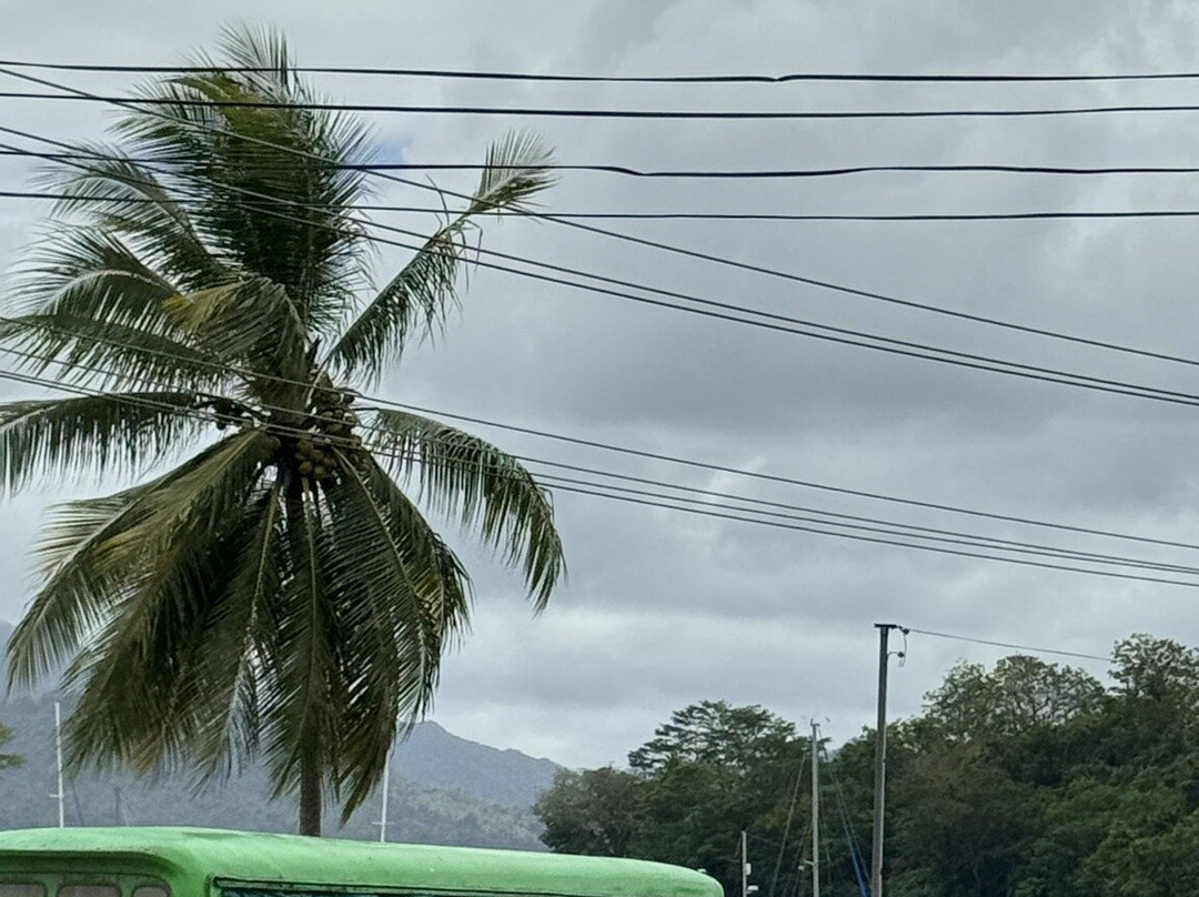Savusavu Farmers' Market-萨武萨武必去景点