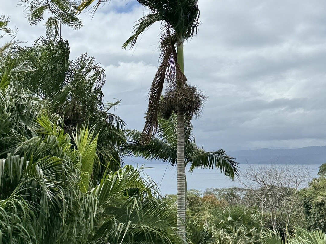Flora Tropica Gardens-萨武萨武必去景点