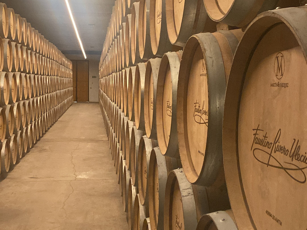 Bodegas Faustino Rivero Ulecia-Arnedo必去景点