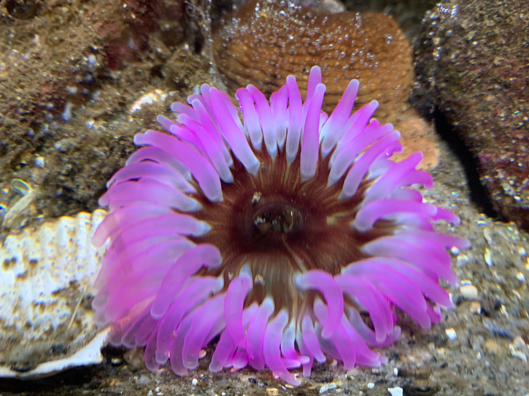 The Lofoten Aquarium景点图片