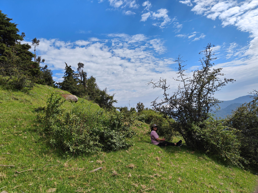 OYO 37141 Pathik Resort主图