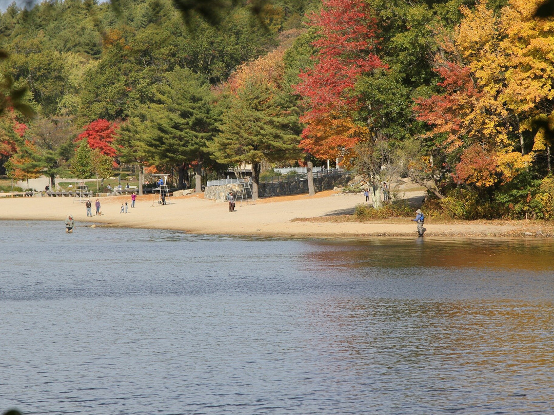 Houghton's Pond景点图片