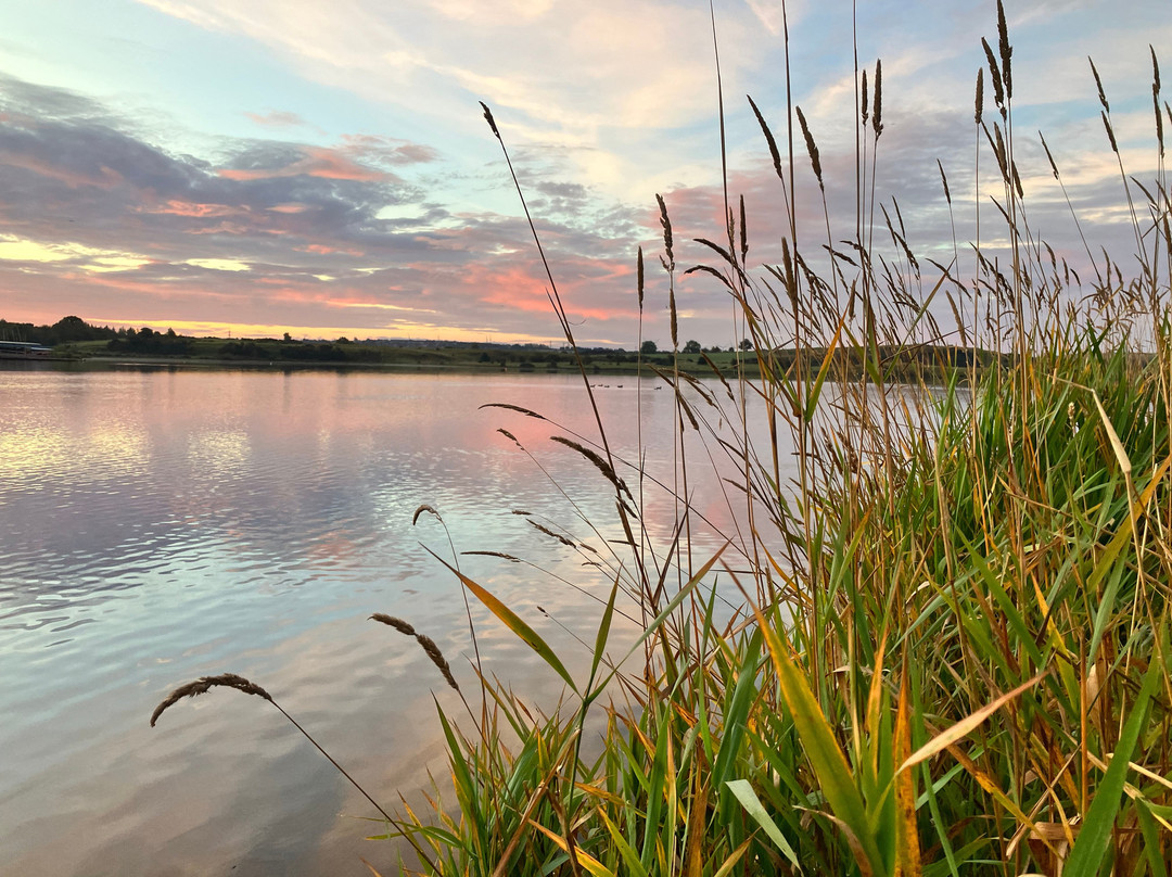 Lochore Meadows Country Park-Lochgelly必去景点