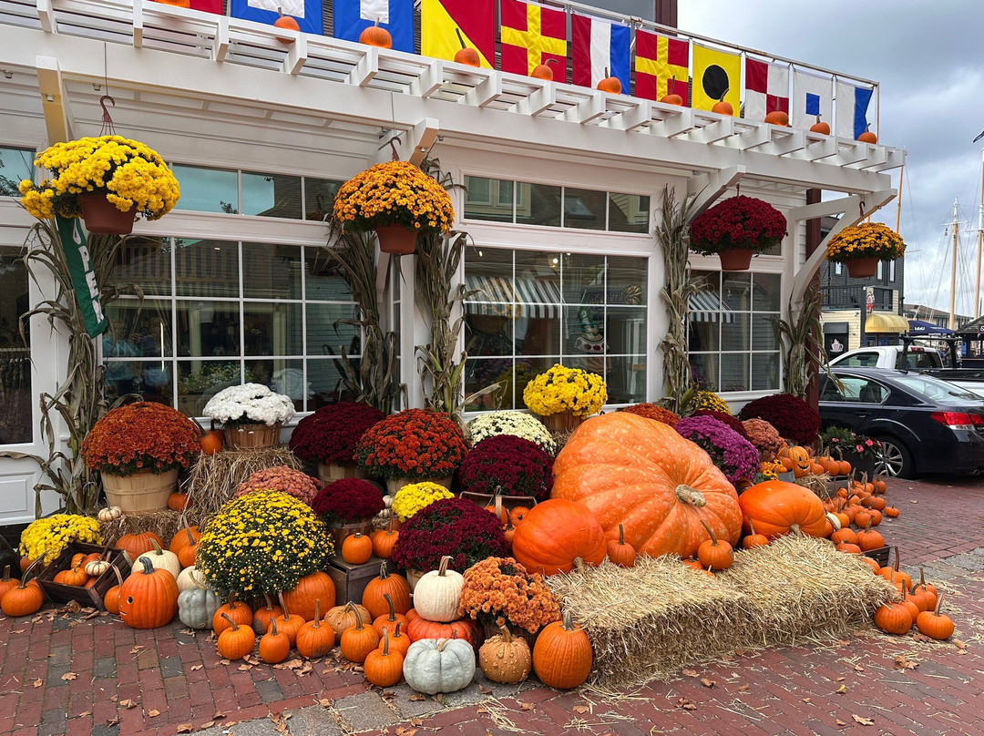 Bowen's Wharf-纽波特必去景点