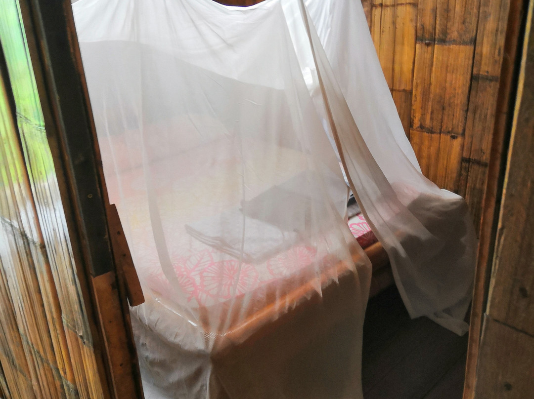 Saloma Villagestay主图