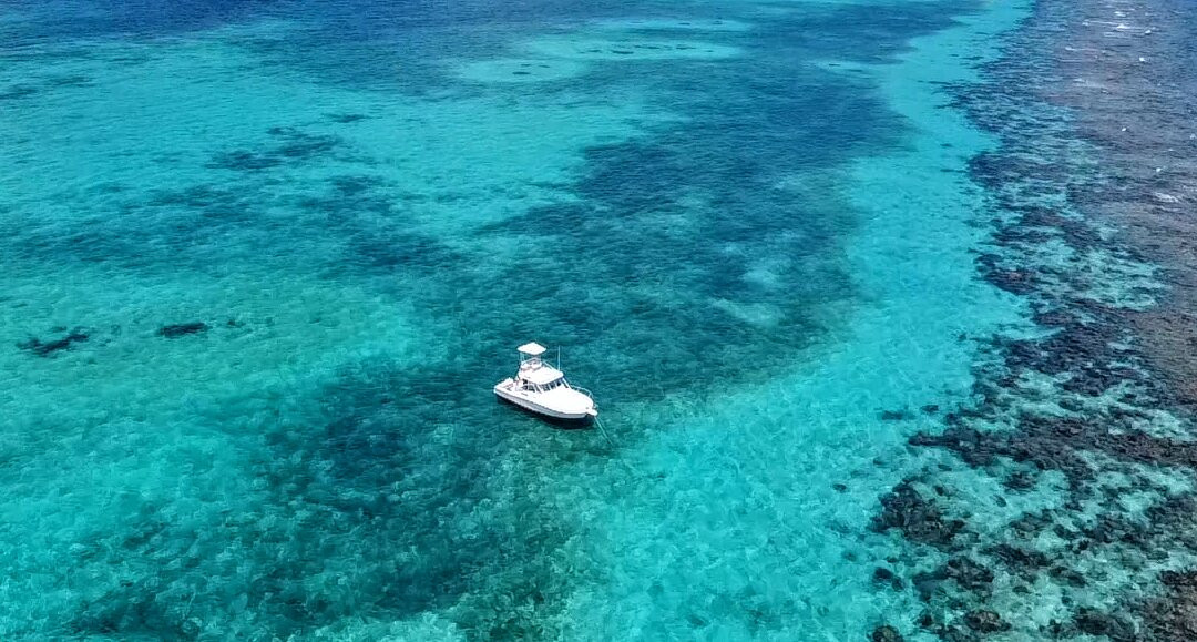 Cayman Snorkel Co-西湾必去景点