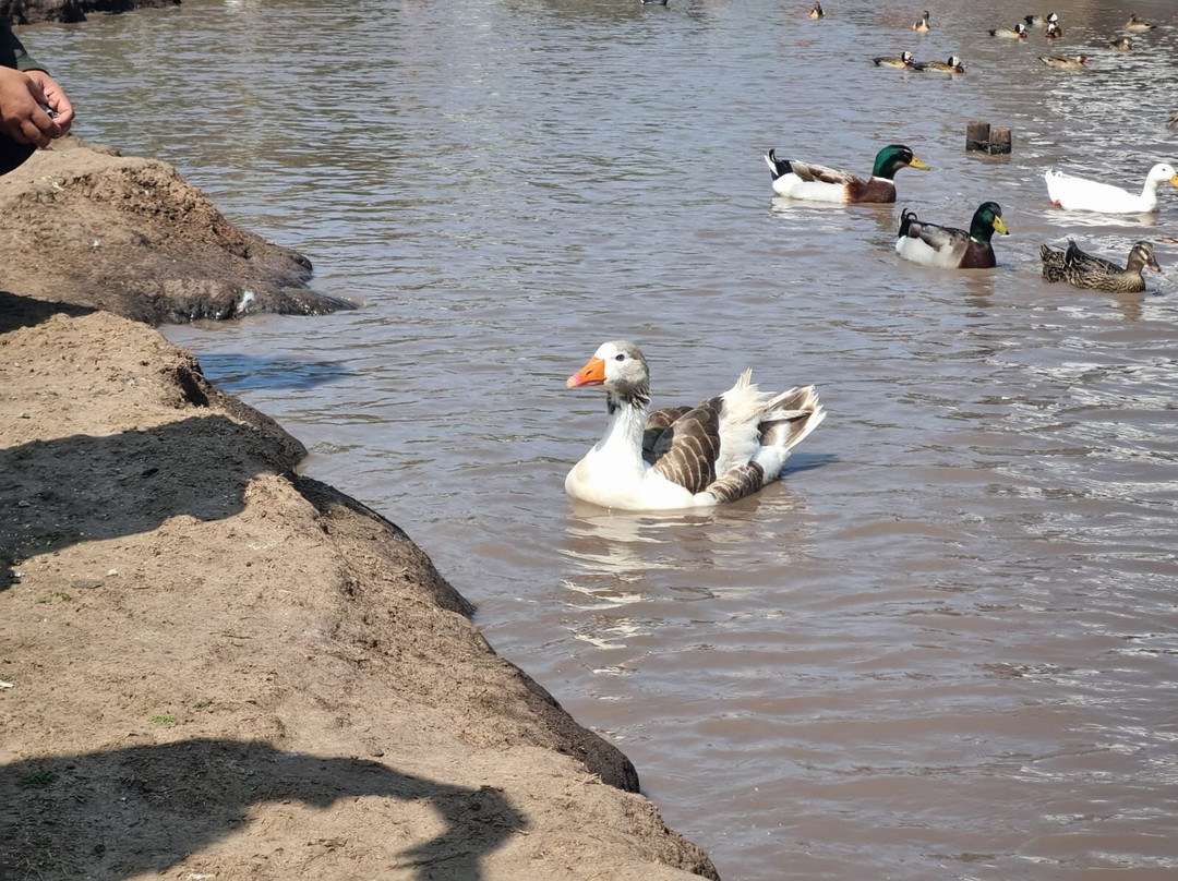 Museo de Madera - Escultor Jose Castro-Carmelo必去景点
