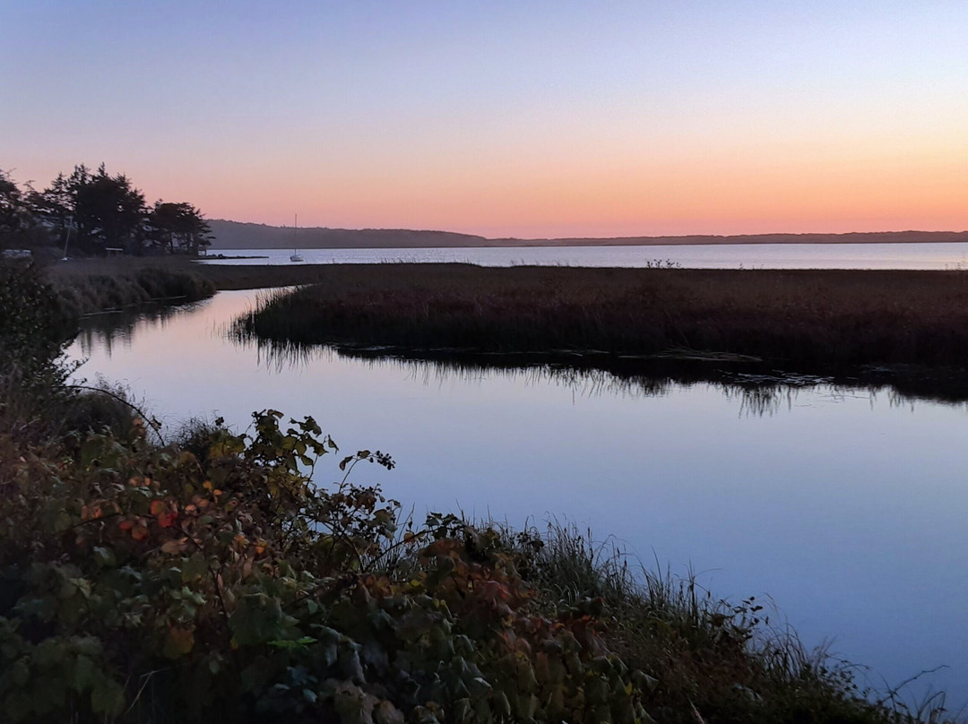 Floras Lake House Bed & Breakfast主图