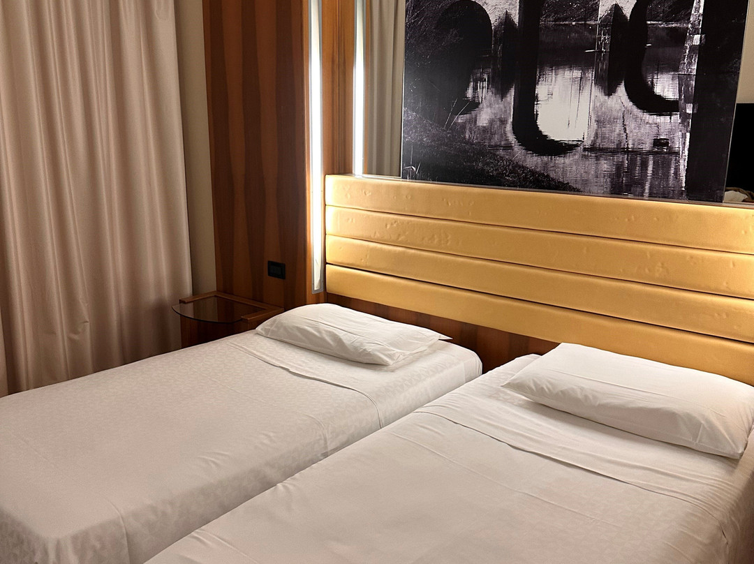 帕多瓦喜来登酒店及会议中心主图