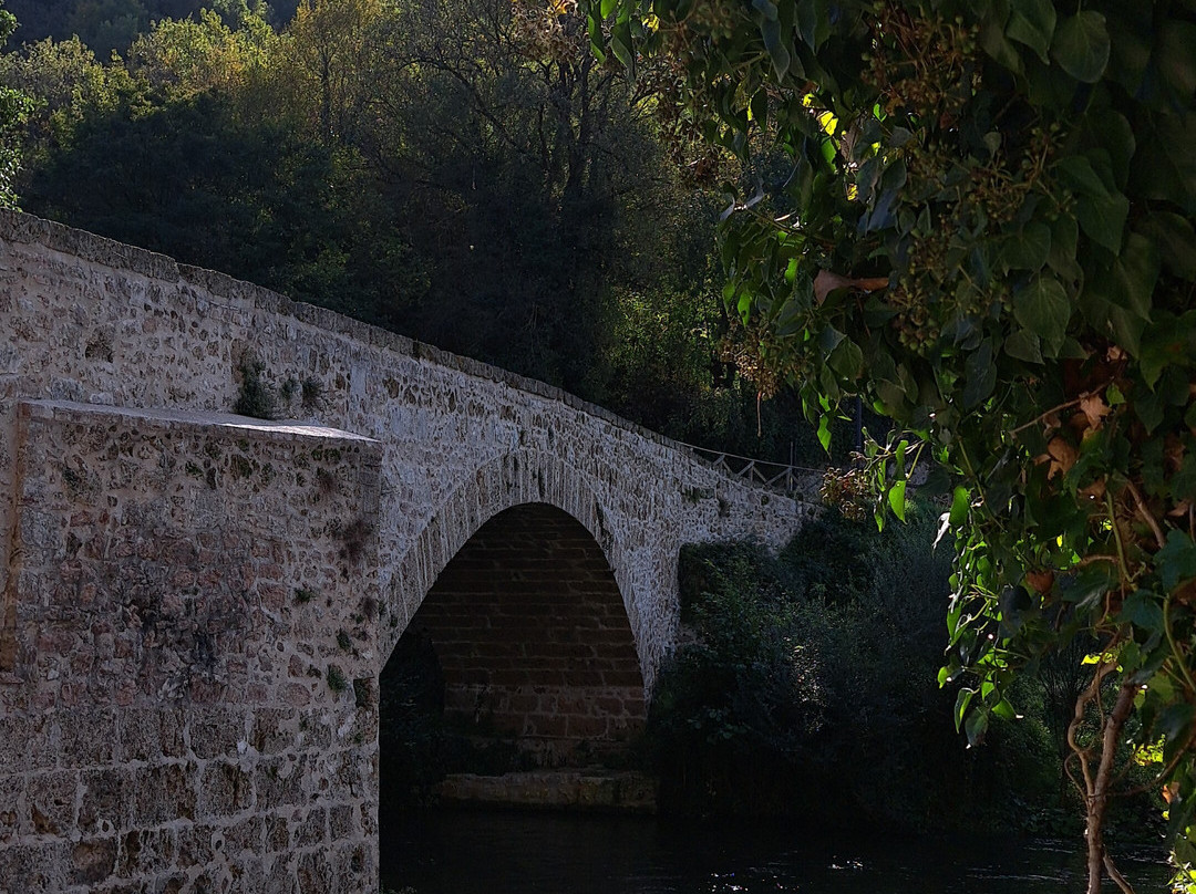 Abbazia dei SS Felice e Mauro主图