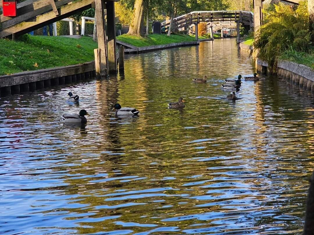 Zwaantje Giethoorn景点图片