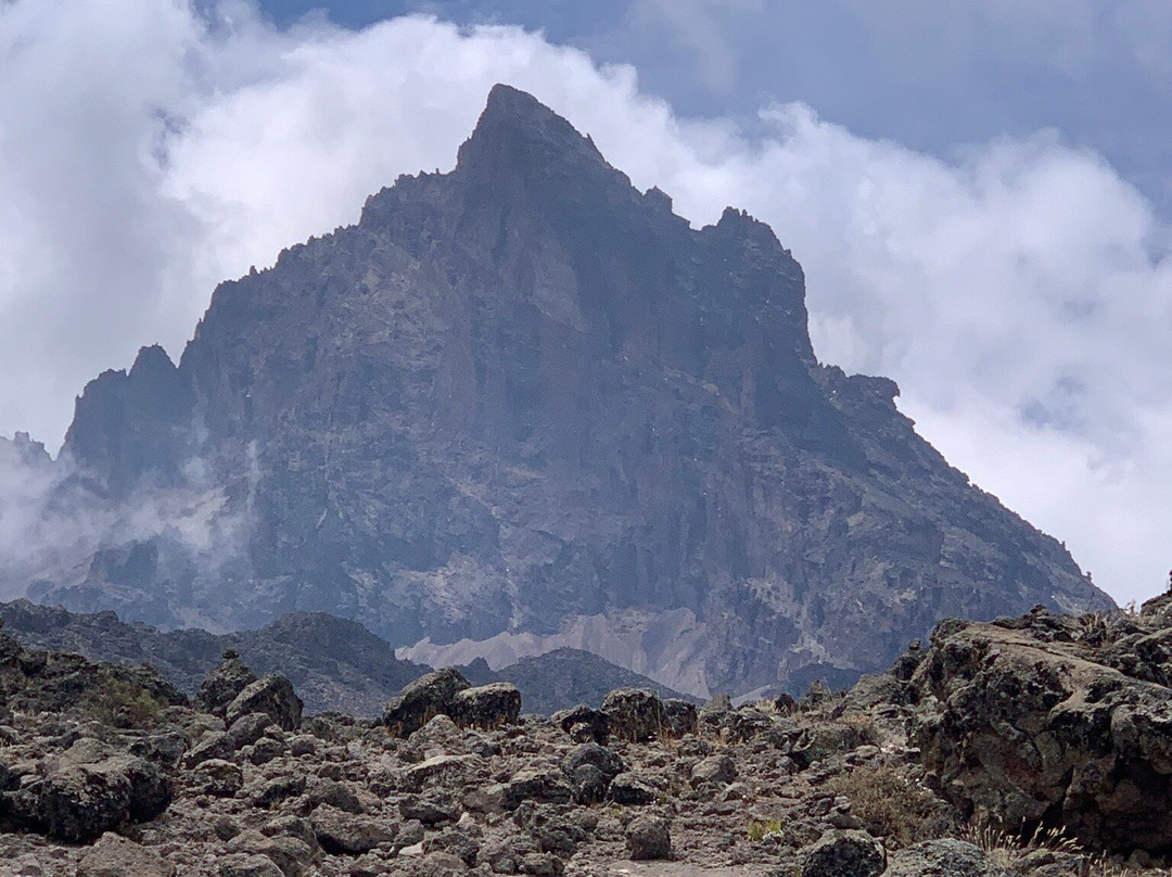 Prosus Climbs & Safaris-莫西必去景点
