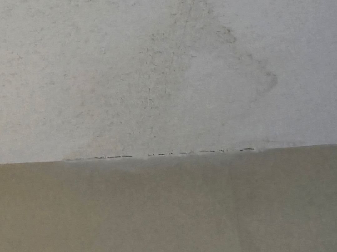 Best Western Owego Inn主图