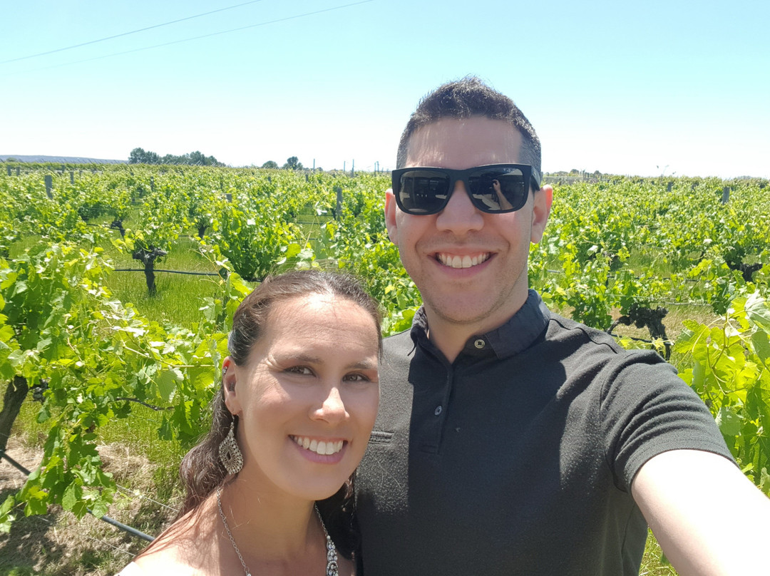d'Vine Wine Tours-珀斯必去景点