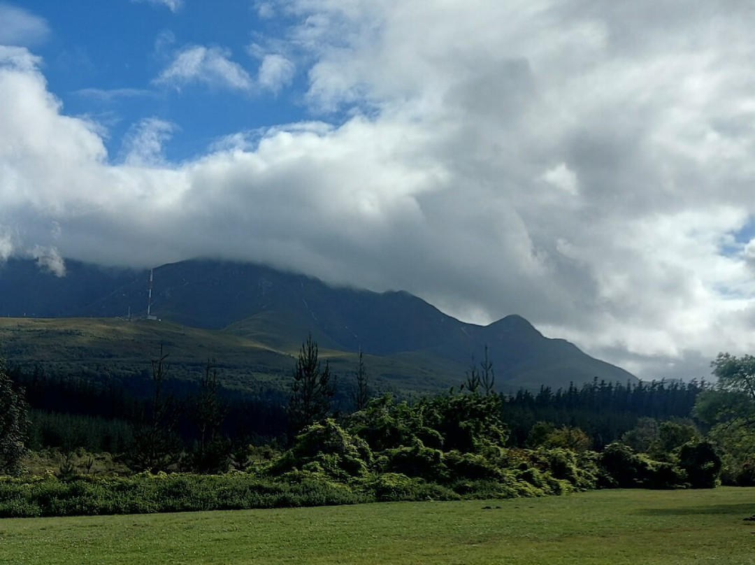 Amour Guest House主图