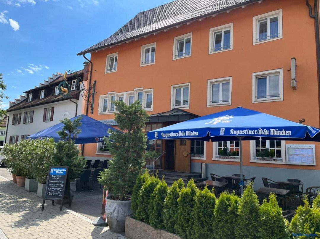 Hallau酒店住宿-Hotel-Gasthof Ochsen