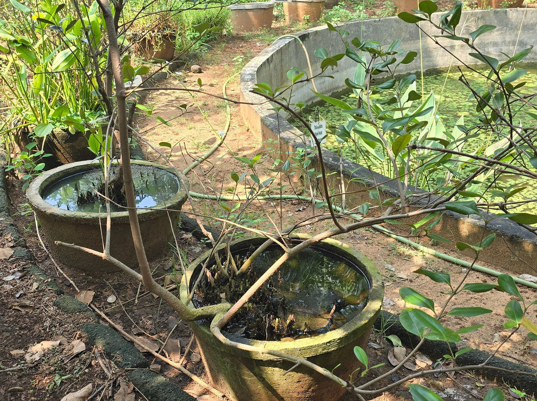 Biodiversity Park - Botanical Garden Visakhapatnam景点图片
