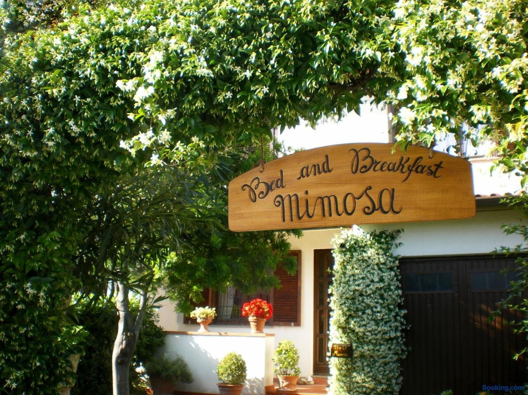 Casciavola酒店住宿-Mimosa B&B