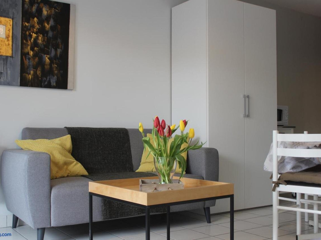 Residence Alma, Studios Face Aux Thermes