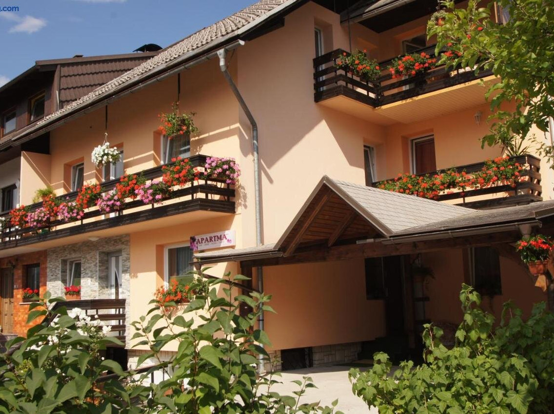 Bohinjska Bistrica酒店住宿-Apartments Mencinger