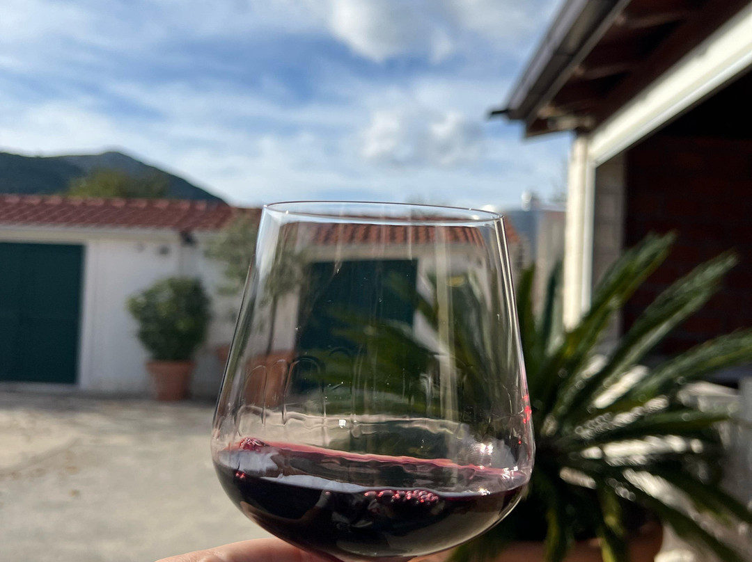 Madirazza Winery景点图片