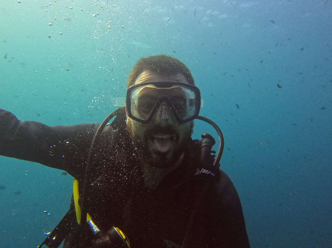 Bubble Addict-韦岛必去景点