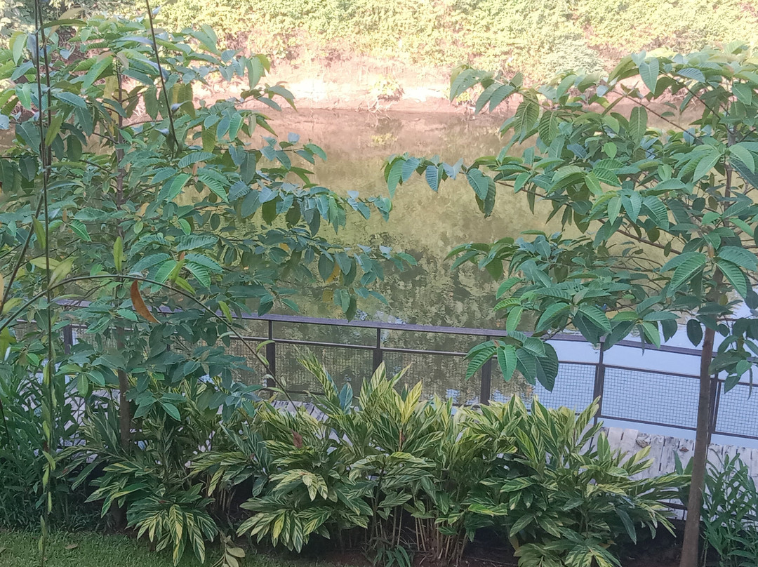 Grape County Eco Resort & Spa主图