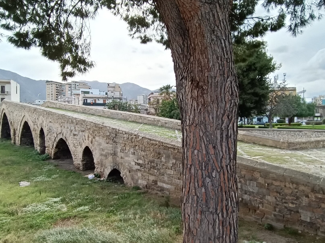 Ponte dell'Ammiraglio景点图片