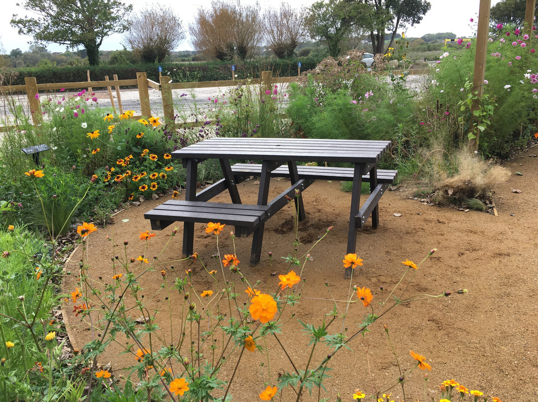 Radipole Park and Gardens景点图片
